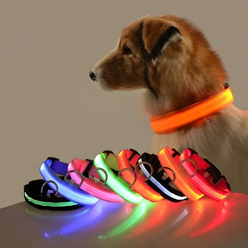 Pet Dog Leash LED Night Safety Flashing Glow In The Dark